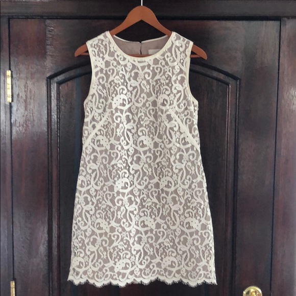 LOFT Dresses & Skirts - Loft dress